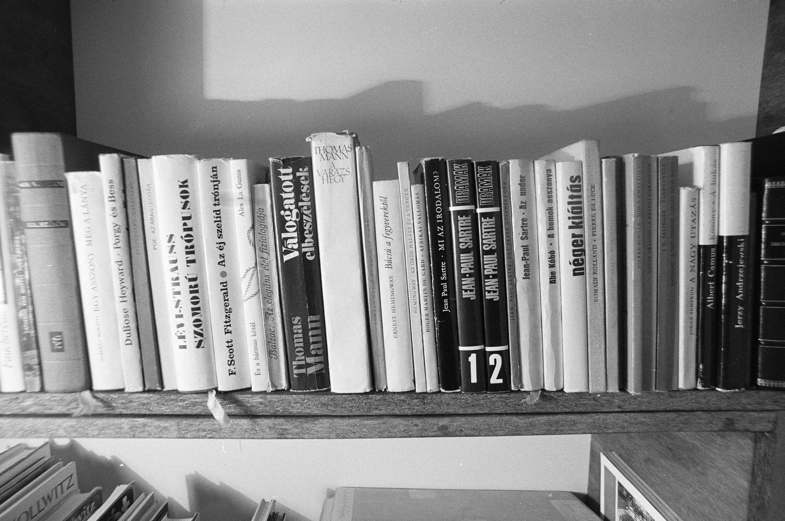 1980, Szaller Károly, bookshelf, Fortepan #301663