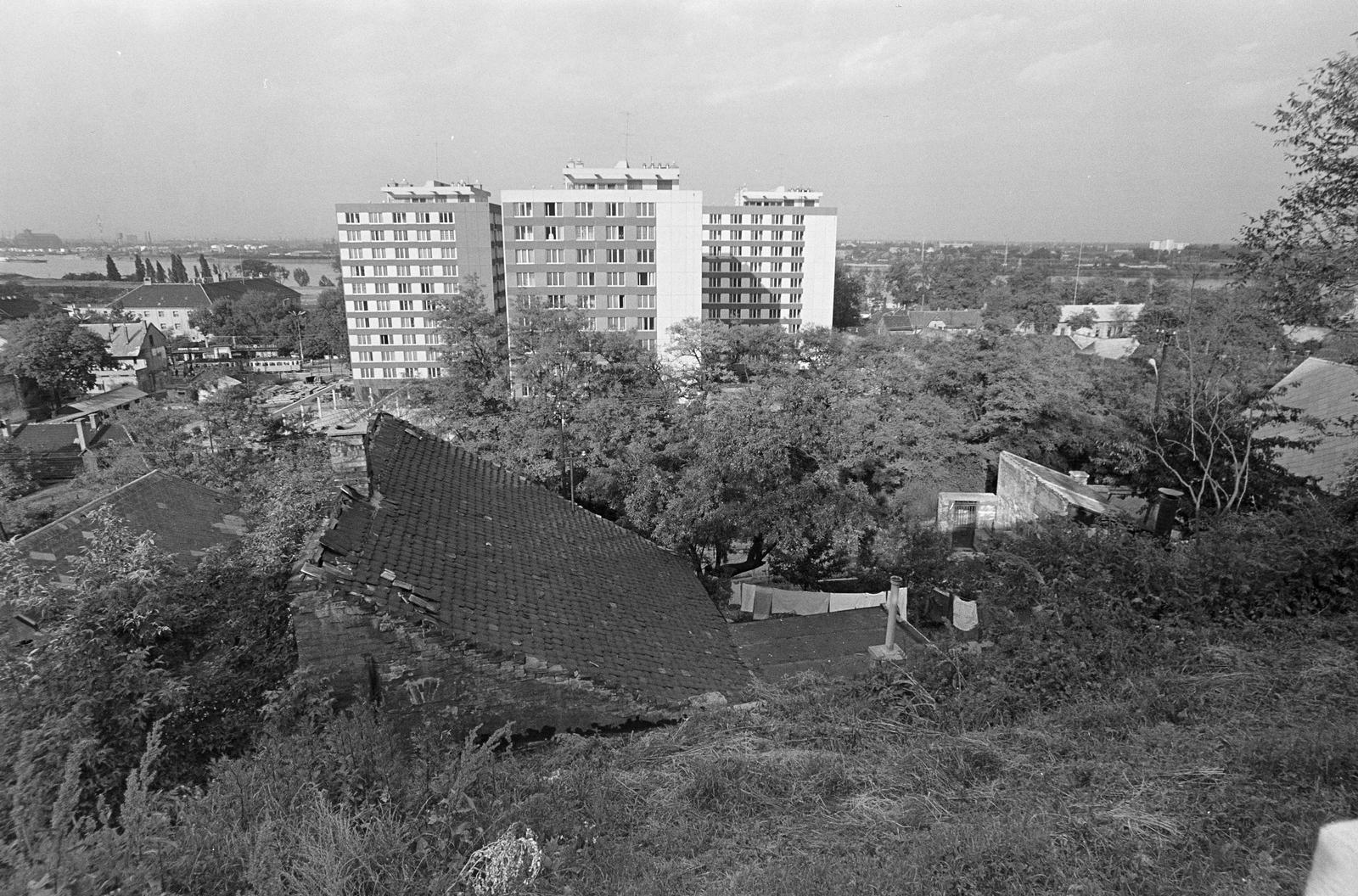 Hungary, Budapest XXII., Budafok, kilátás a Kálváriahegy utcától, szemben a Kossuth Lajos utca - Mária Terézia (Rózsa Richárd) utca közötti háztömbök láthatók., 1979, Szaller Károly, Budapest, Fortepan #301691