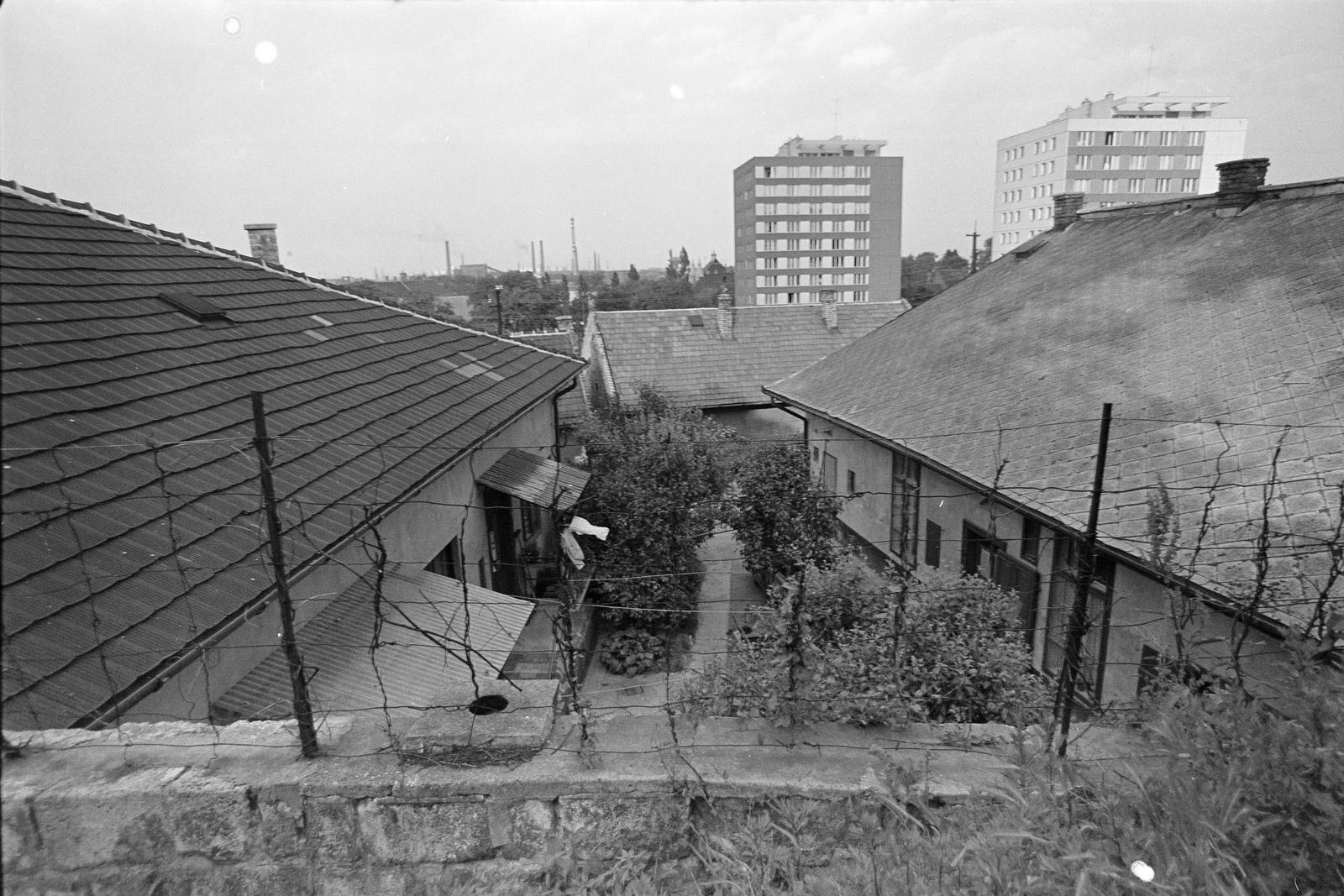 Magyarország, Budapest XXII., Budafok, kilátás a Fehérhegy utcától / Fehérhegy lépcsőtől a Kossuth Lajos utca - Mária Terézia (Rózsa Richárd) utca közötti háztömbök felé., 1979, Szaller Károly, Budapest, Fortepan #301692