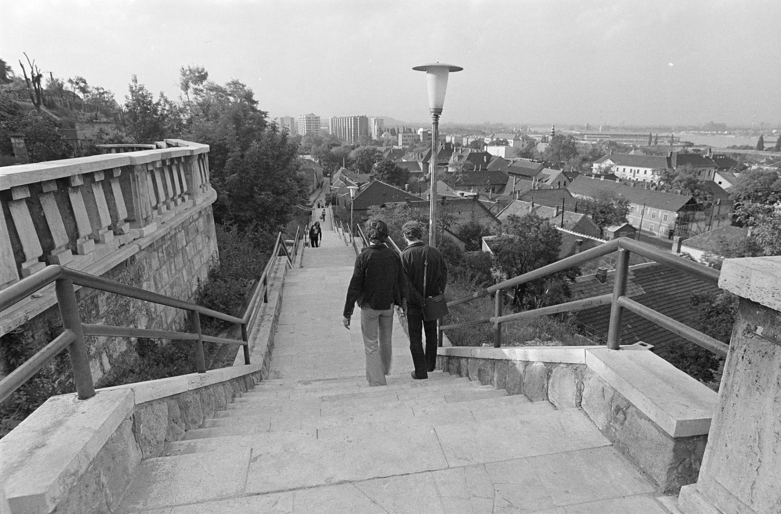 Hungary, Budapest XXII., Budafok, Fehérhegy utca / Fehérhegy lépcső a Hosszúhegy utca felé vezető szakaszon., 1979, Szaller Károly, Budapest, Fortepan #301694