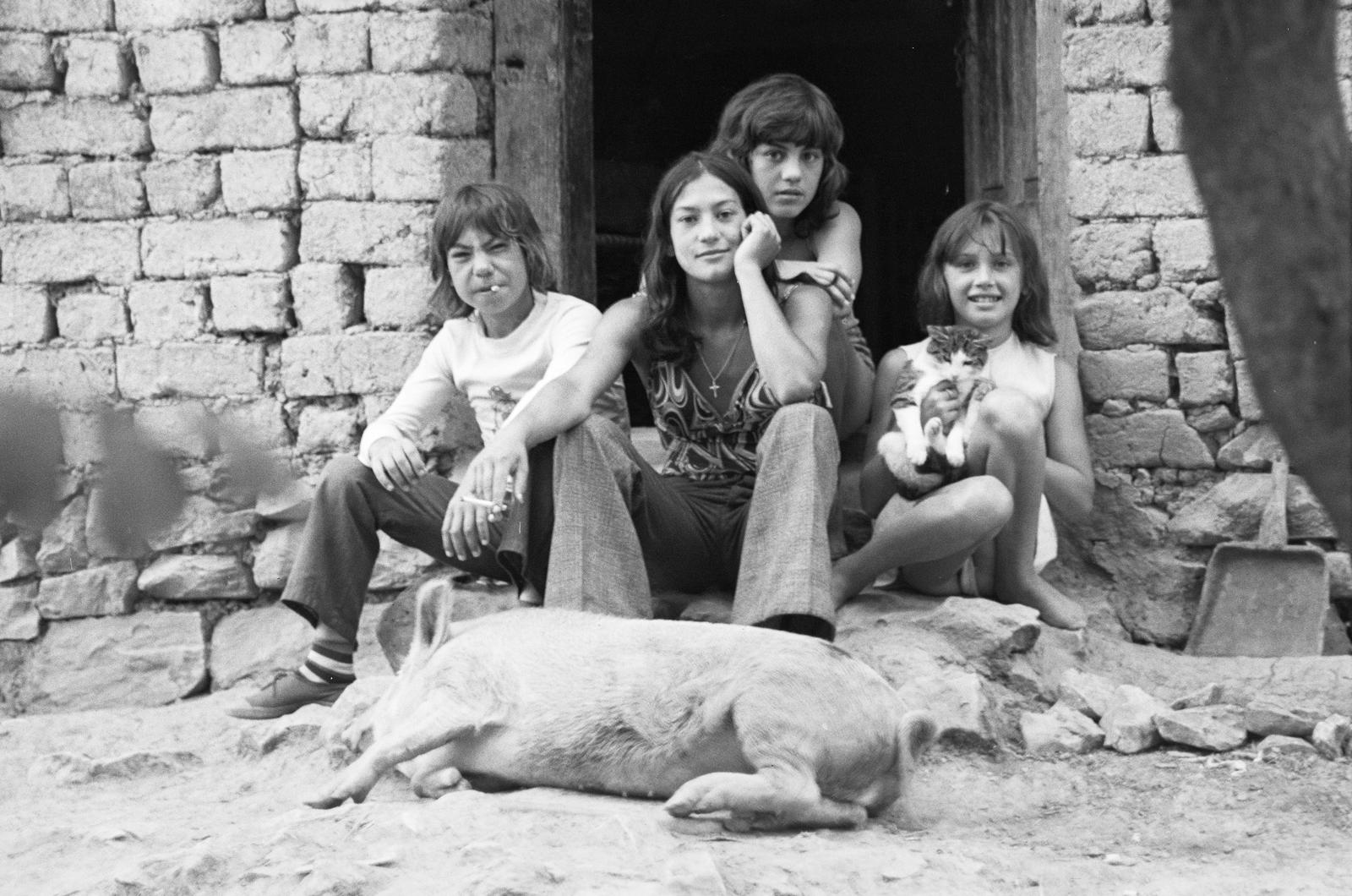 Hungary, Rakaca, 1980, Szaller Károly, tableau, cat, sitting on the ground, pig, teenager, Fortepan #301713