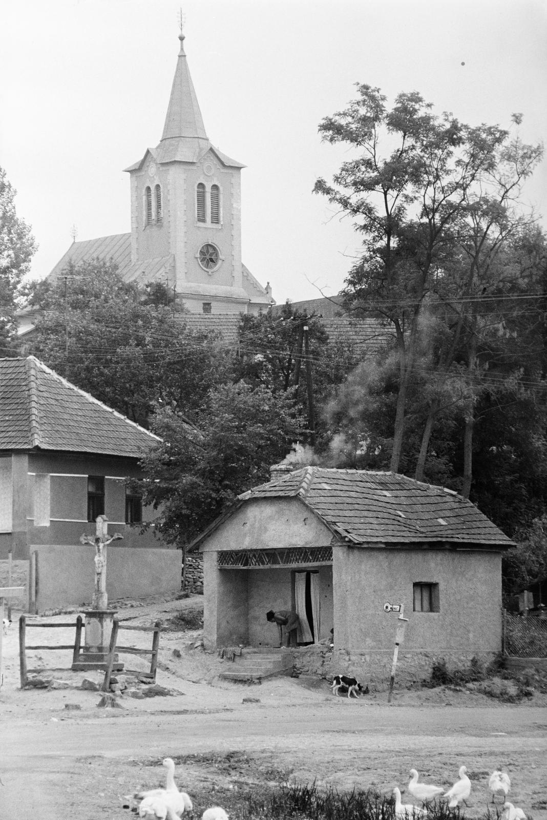 1980, Szaller Károly, Fortepan #301716