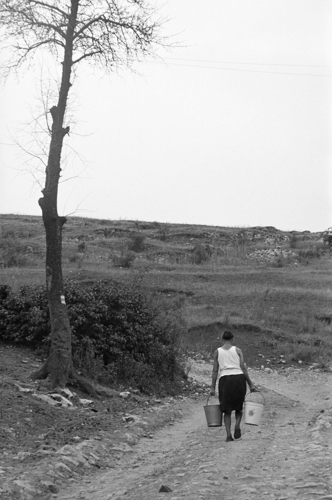 1980, Szaller Károly, Fortepan #301718