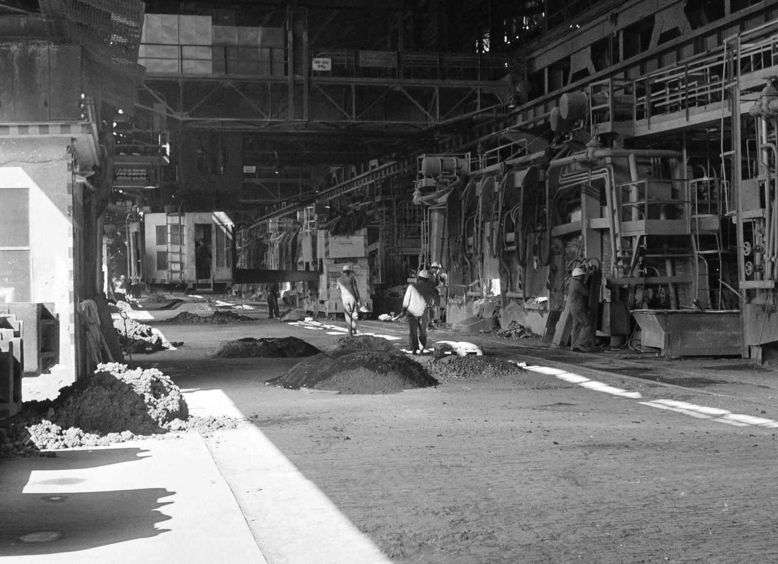 1979, Szaller Károly, Fortepan #301744