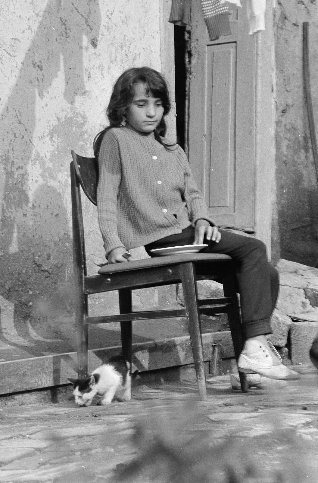 Hungary, Rakaca, 1980, Szaller Károly, chair, girl, sitting, cat, Fortepan #301745
