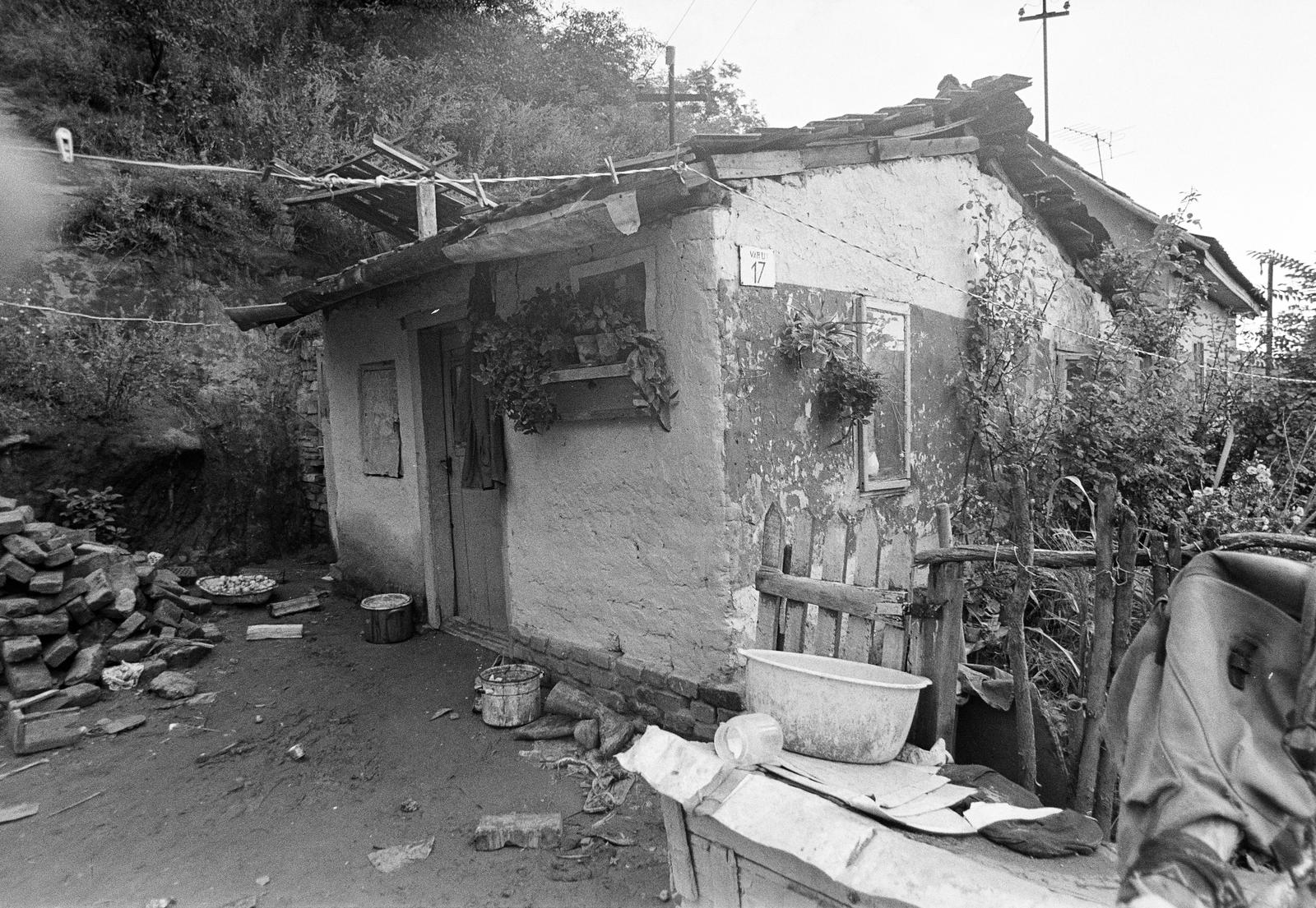 1980, Szaller Károly, Fortepan #301747