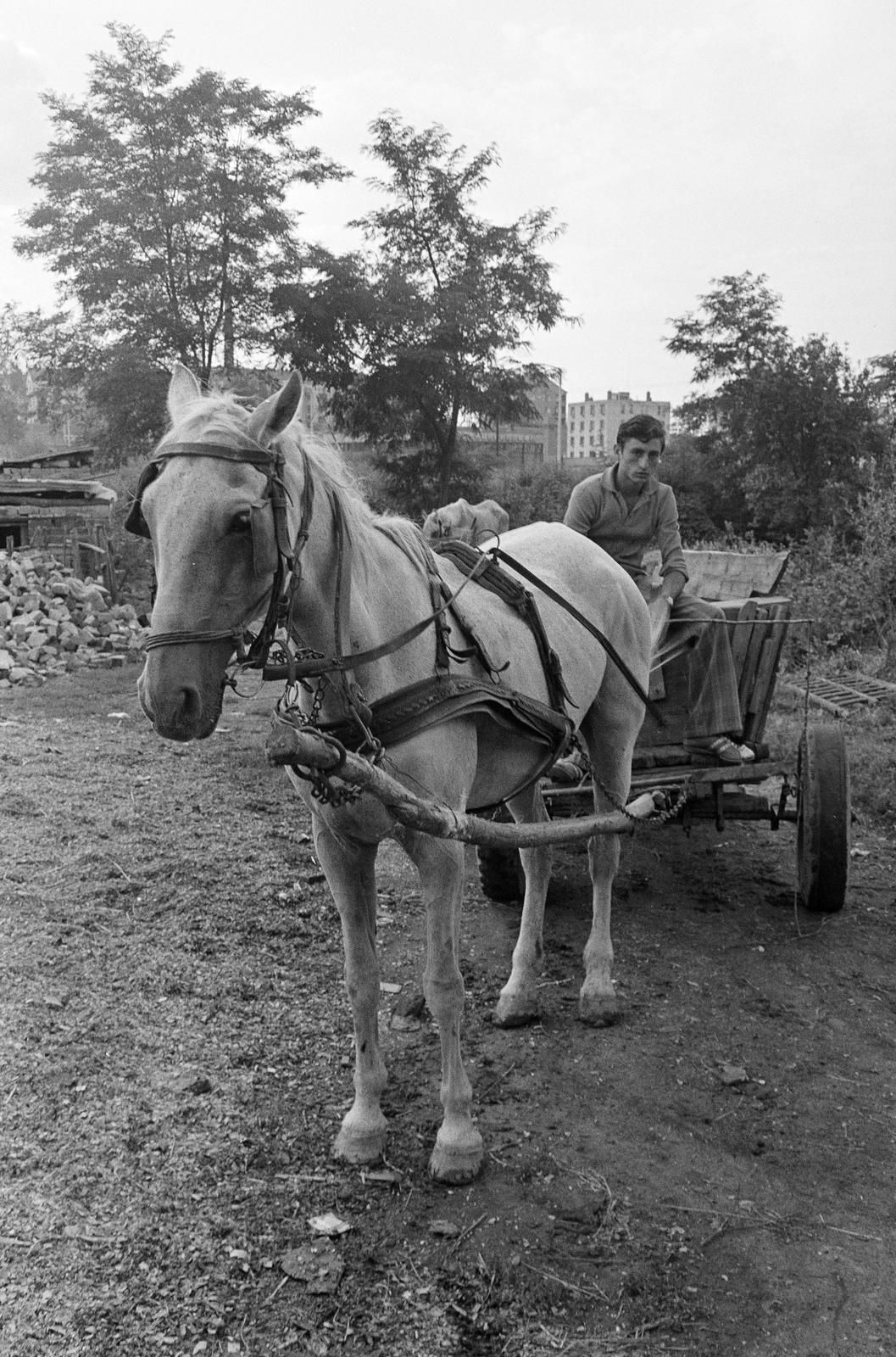 1980, Szaller Károly, Fortepan #301749