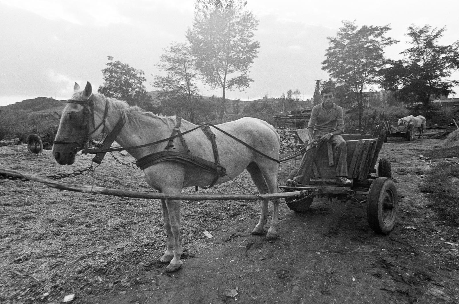 Hungary, Ózd, a felvétel a Vasvár utca és Malom utca találkozásánál levő bontási területen készült., 1980, Szaller Károly, Fortepan #301750