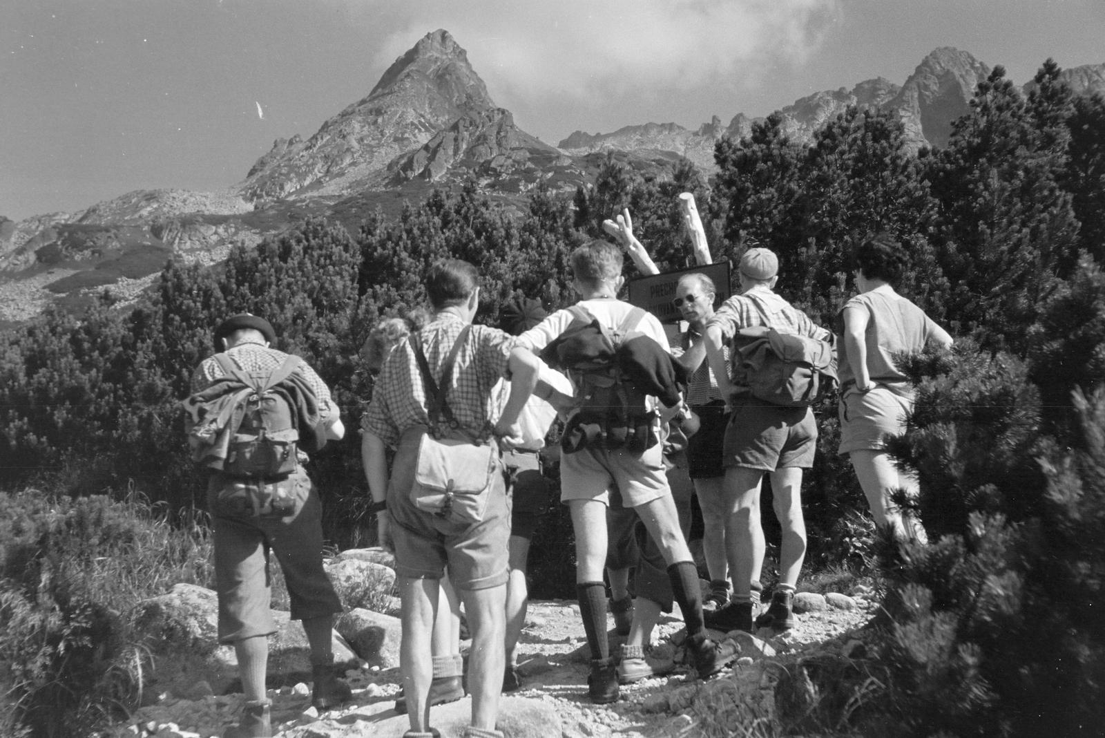 1958, Szalontai Tamás, háttal, hátizsák, Fortepan #301762