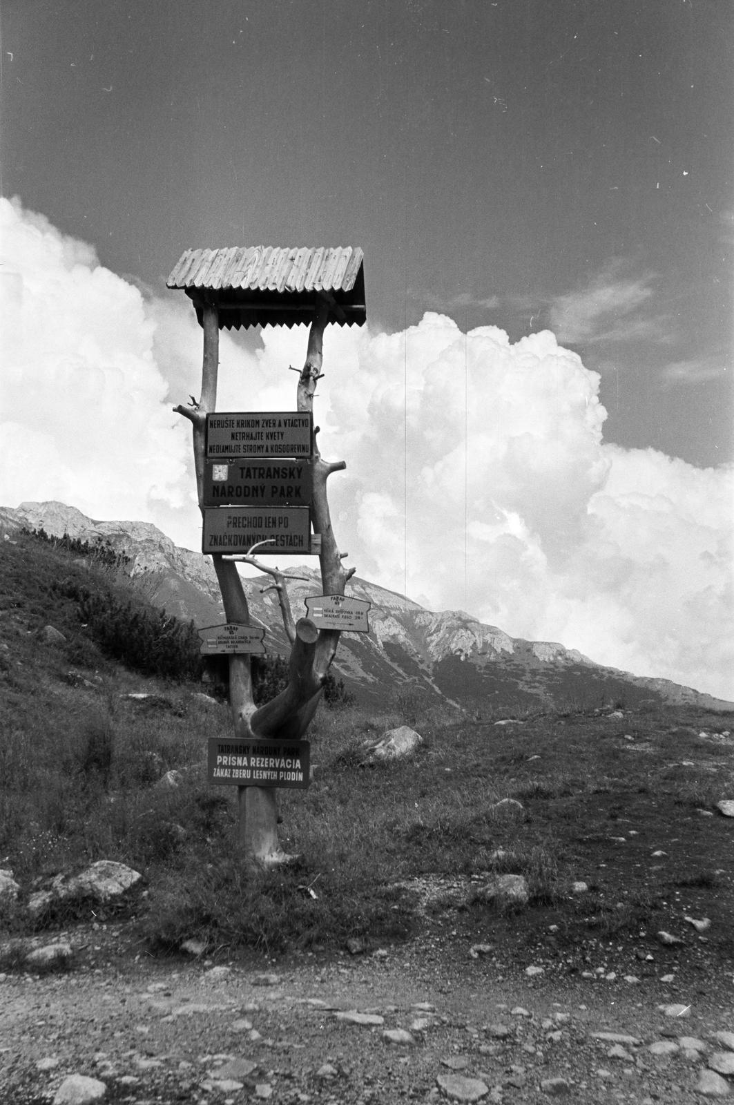 1958, Szalontai Tamás, road signs, Fortepan #301779