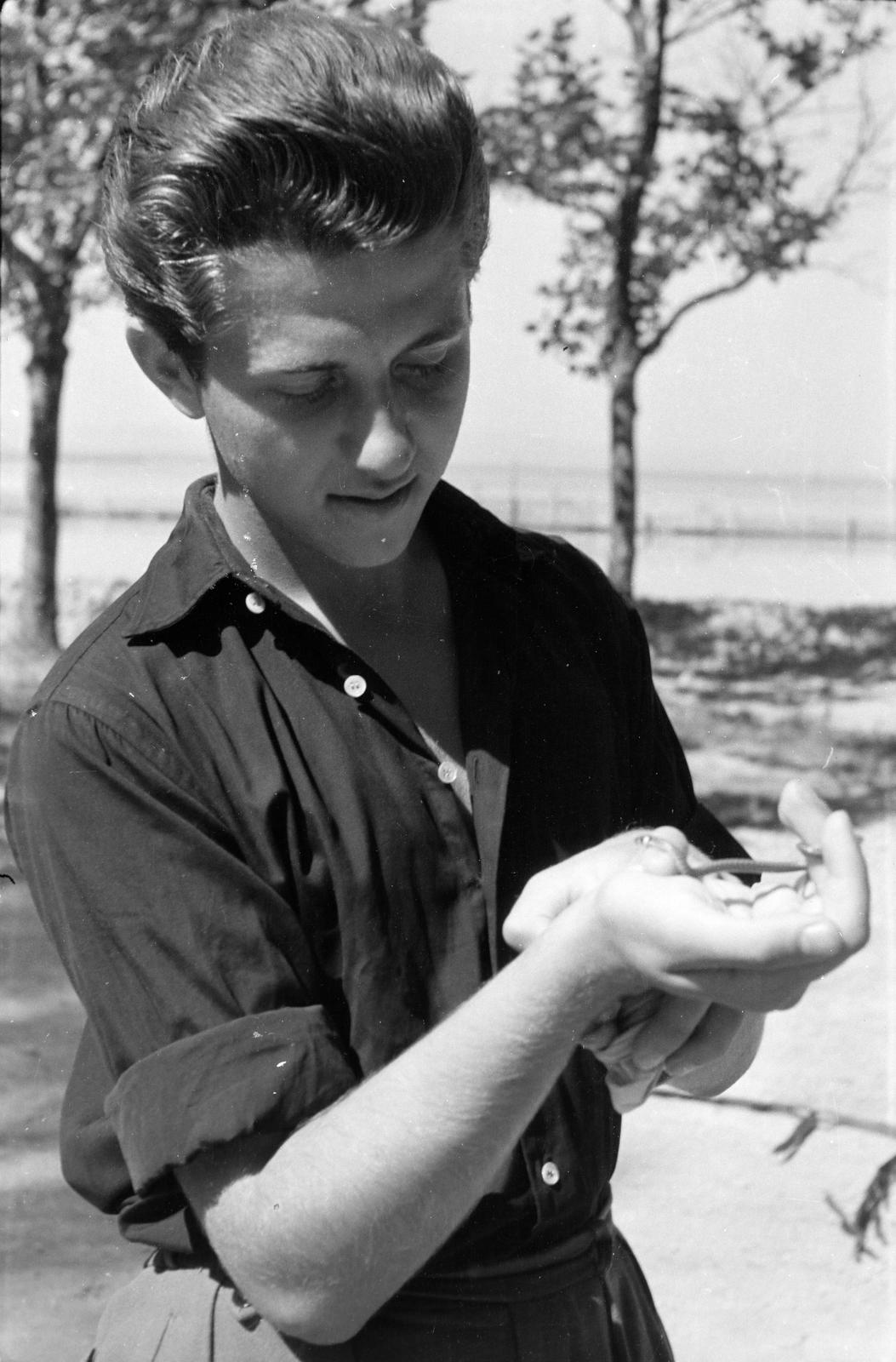 1960, Szalontai Tamás, Best of, kézben tartani, sikló, Fortepan #301789