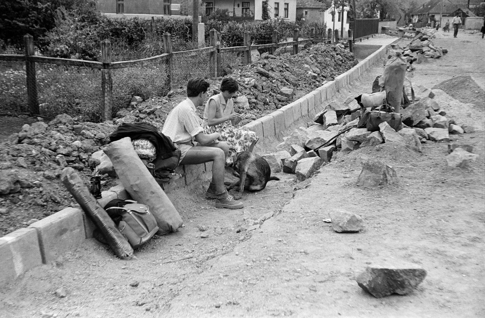1961, Szalontai Tamás, útépítés, turista, pihenés, kutya, Fortepan #301806