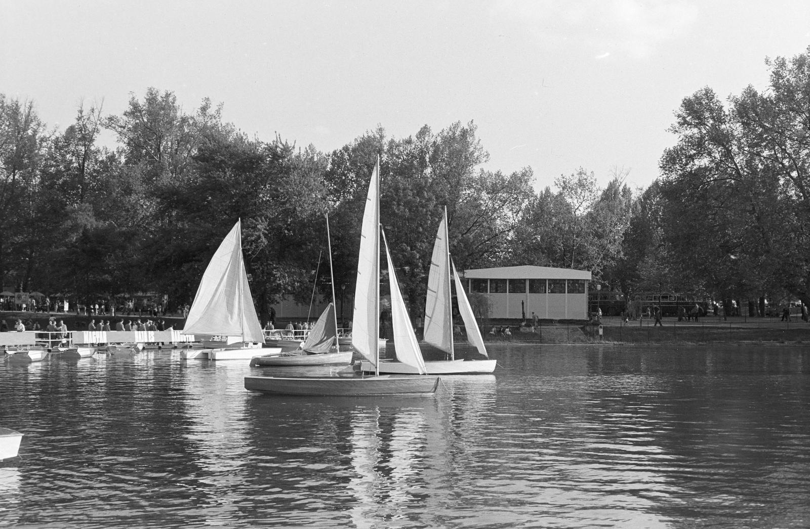 Magyarország, Városliget,Budapesti Ipari Vásár, Budapest XIV., Városligeti-tó, vitorlások kiállítása., 1963, Szalontai Tamás, vitorláshajó, Budapest, Fortepan #301824