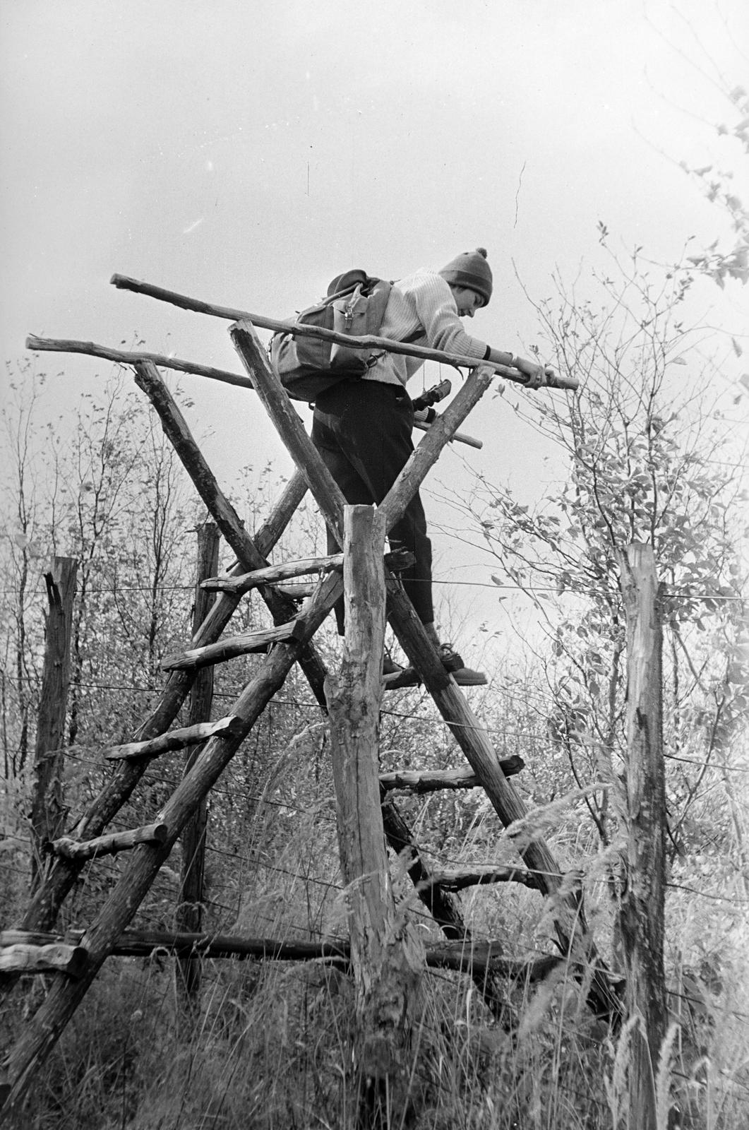 1963, Szalontai Tamás, tourist, ladder, Fortepan #301841