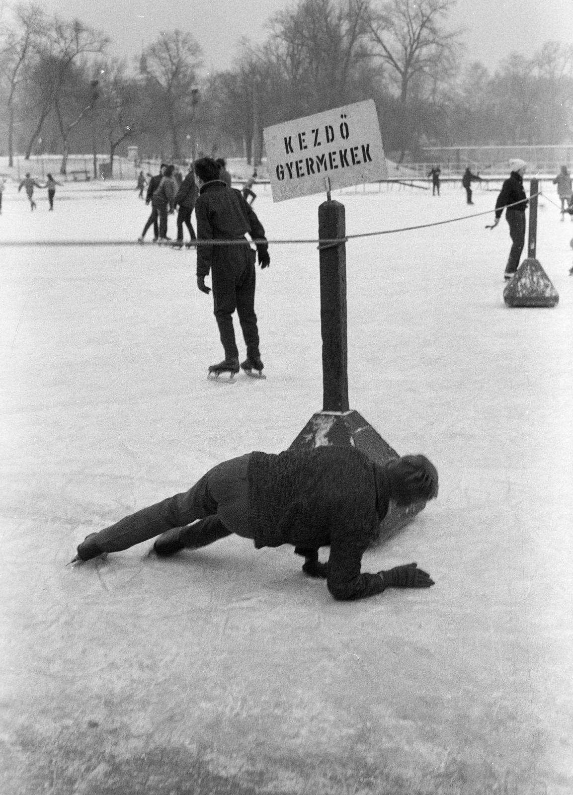 1963, Szalontai Tamás, skating, Fortepan #301843