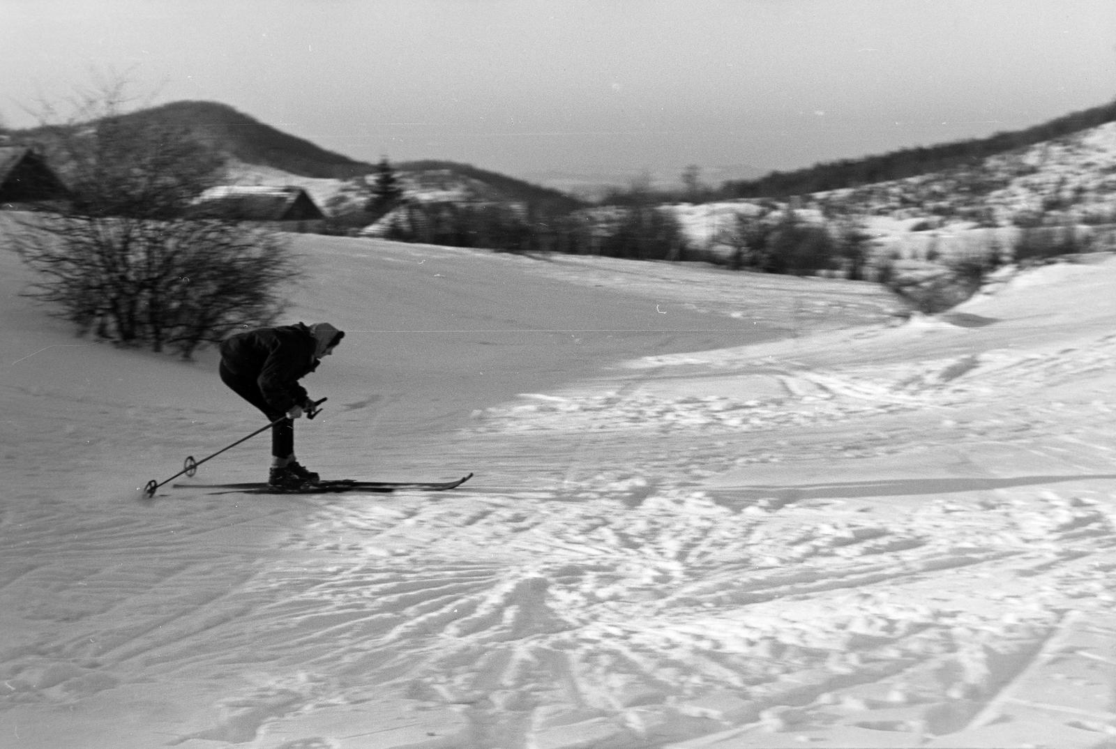 1963, Szalontai Tamás, síelés, Fortepan #301846