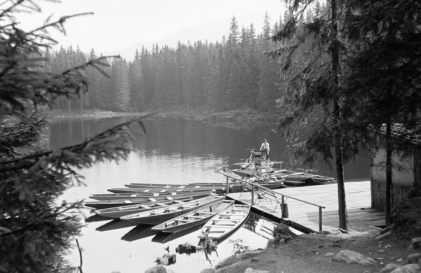1964, Szalontai Tamás, pier, barge, lake, pine forest, Fortepan #301873