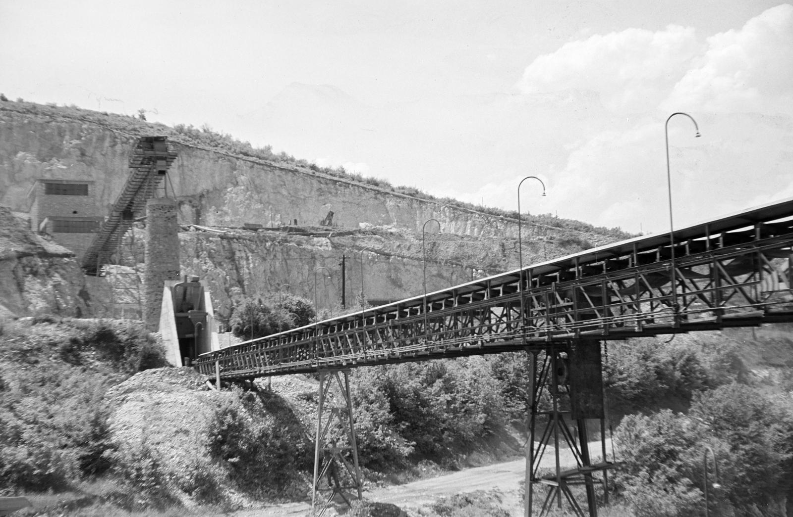 1964, Szalontai Tamás, Fortepan #301887