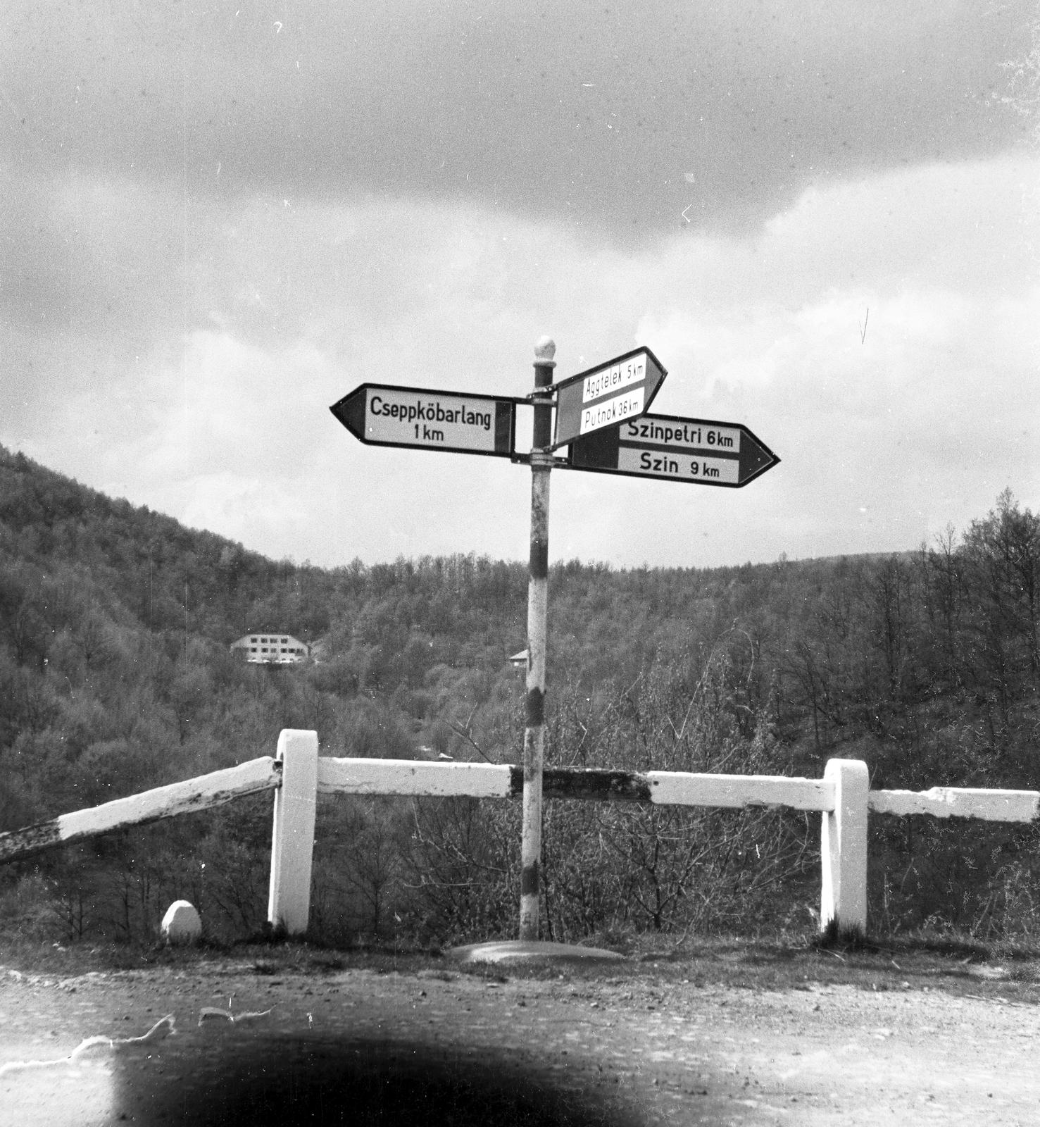 1964, Szalontai Tamás, útjelző tábla, Fortepan #301902