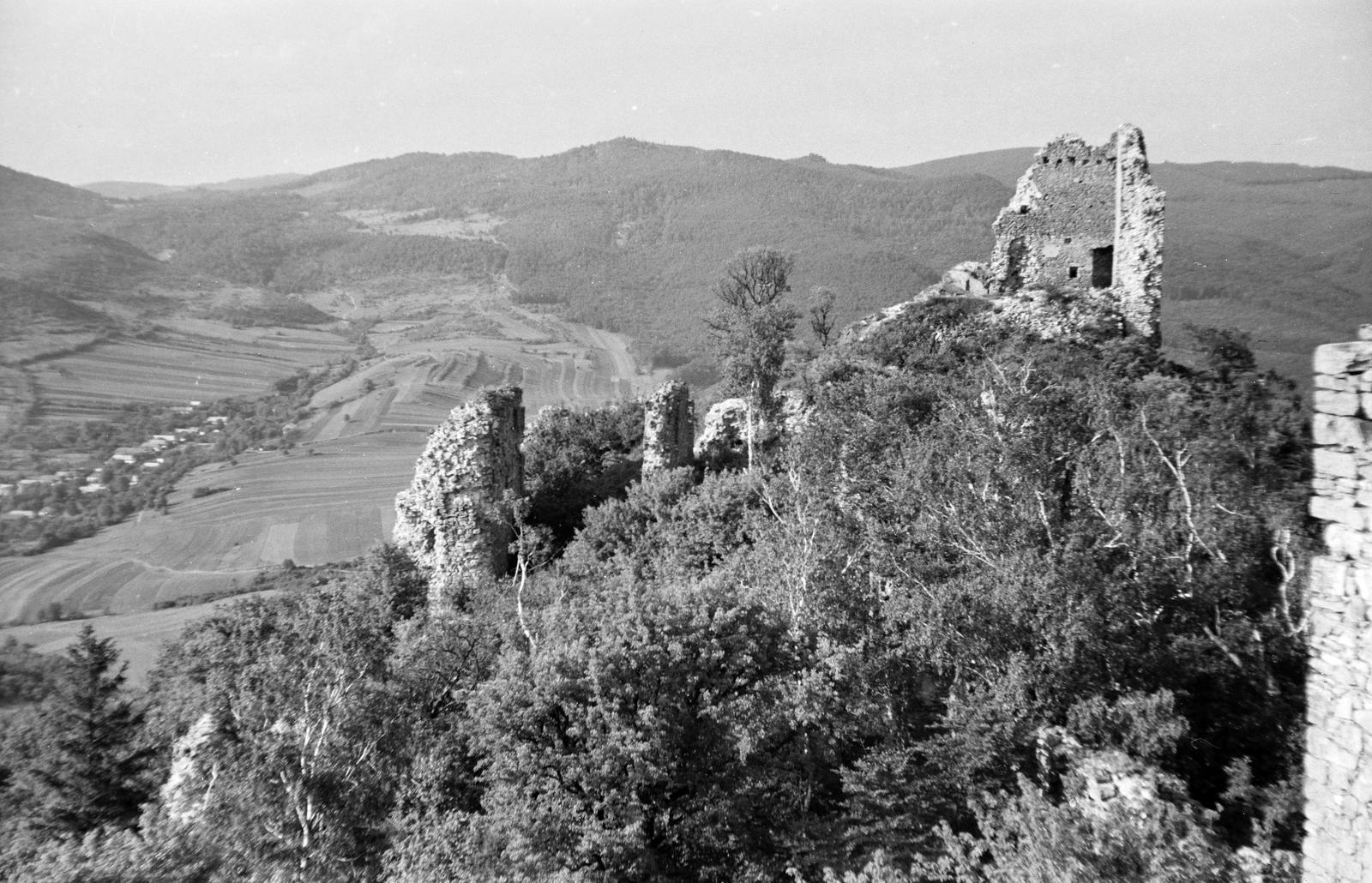 1964, Szalontai Tamás, Fortepan #301914