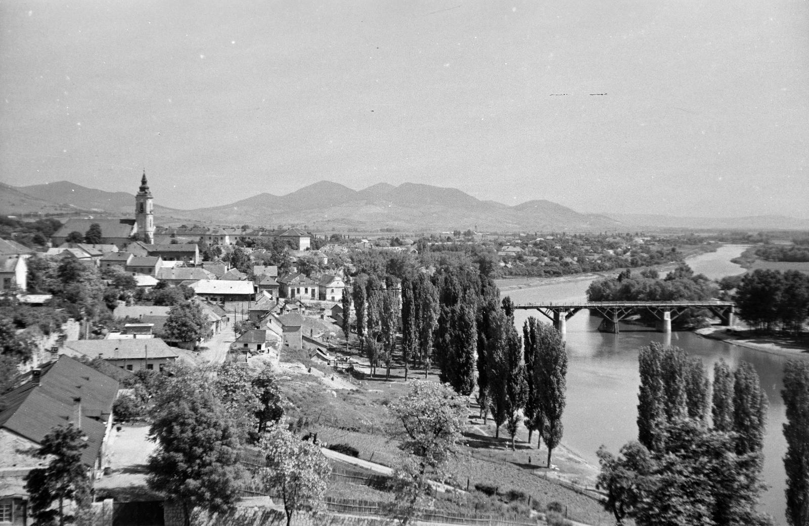 1960, Szalontai Tamás, Fortepan #301925