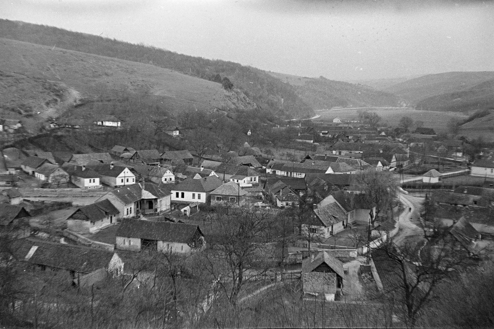 1959, Szalontai Tamás, lakóház, látkép, Fortepan #301933