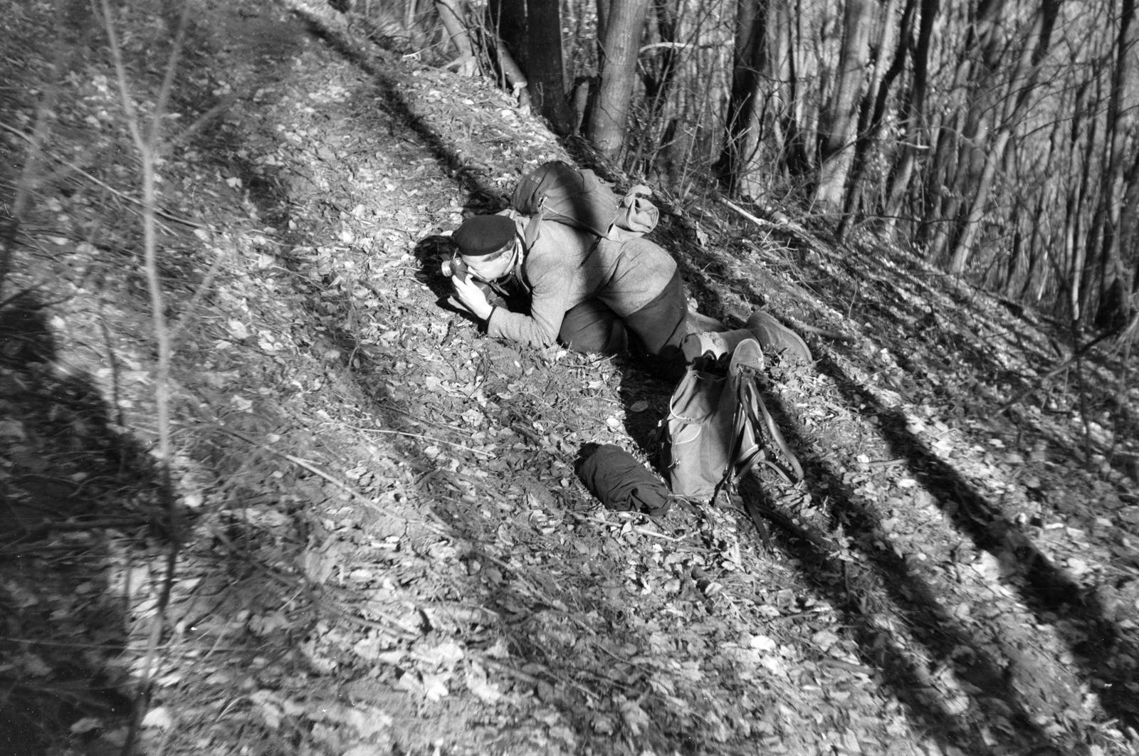 1959, Szalontai Tamás, Best of, fotózás, fény-árnyék, erdő, turista, Fortepan #301939