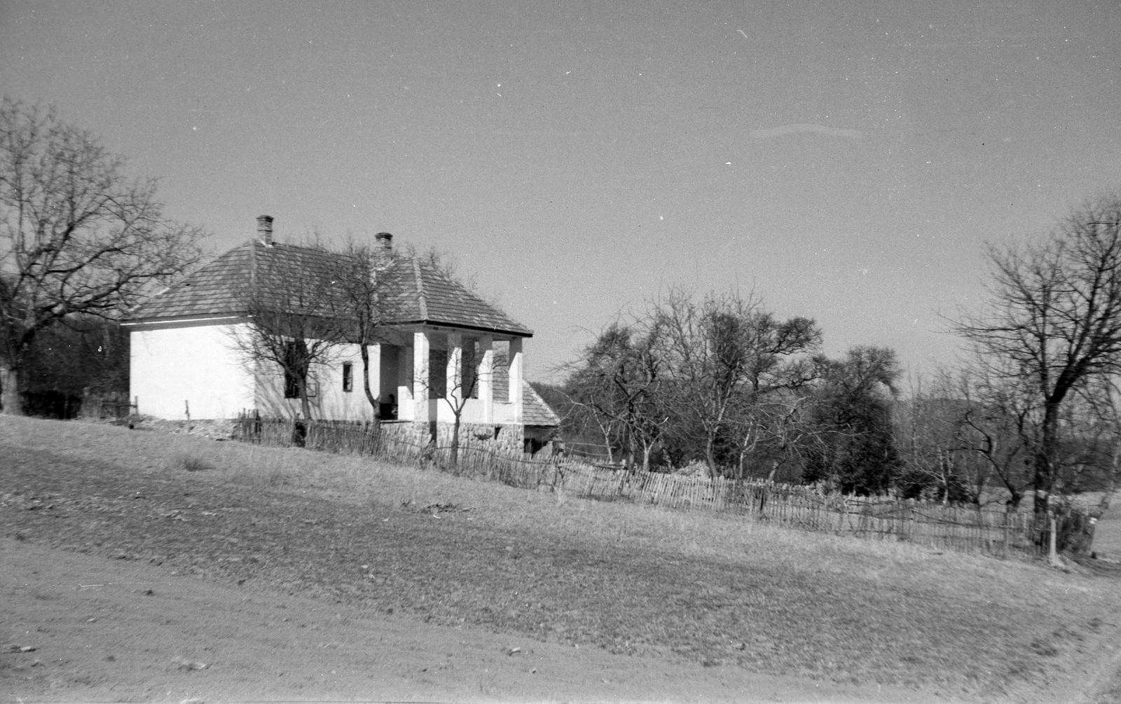 1959, Szalontai Tamás, lath fence, house, Fortepan #301941
