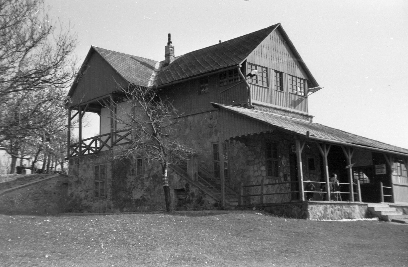 1959, Szalontai Tamás, Fortepan #301943