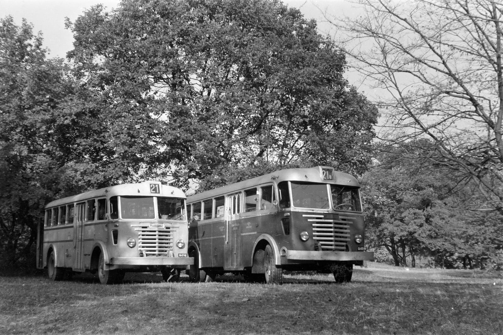 1960, Szalontai Tamás, rendszám, autóbusz, Fortepan #301956
