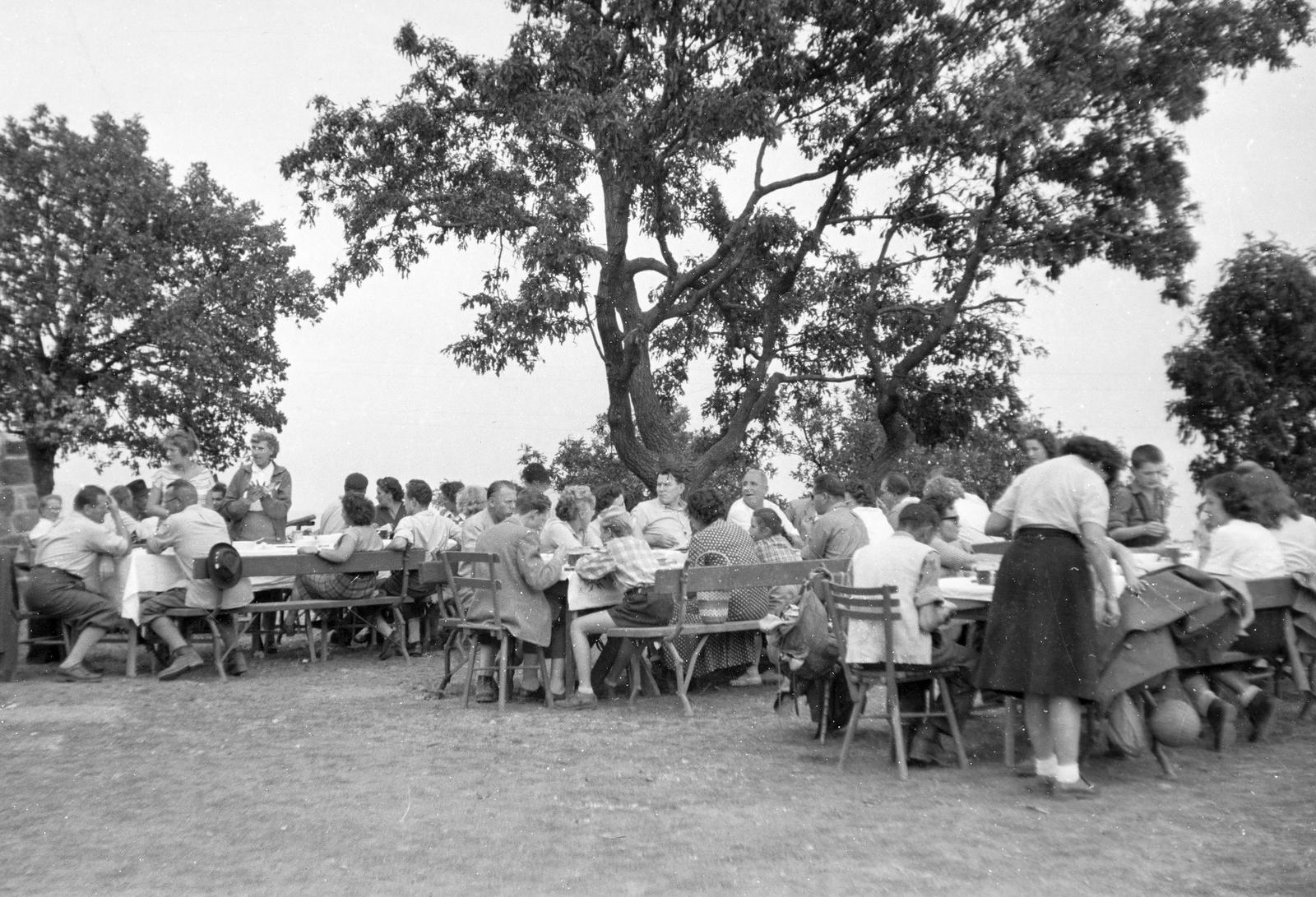 1960, Szalontai Tamás, kerthelyiség, pad, Fortepan #301963