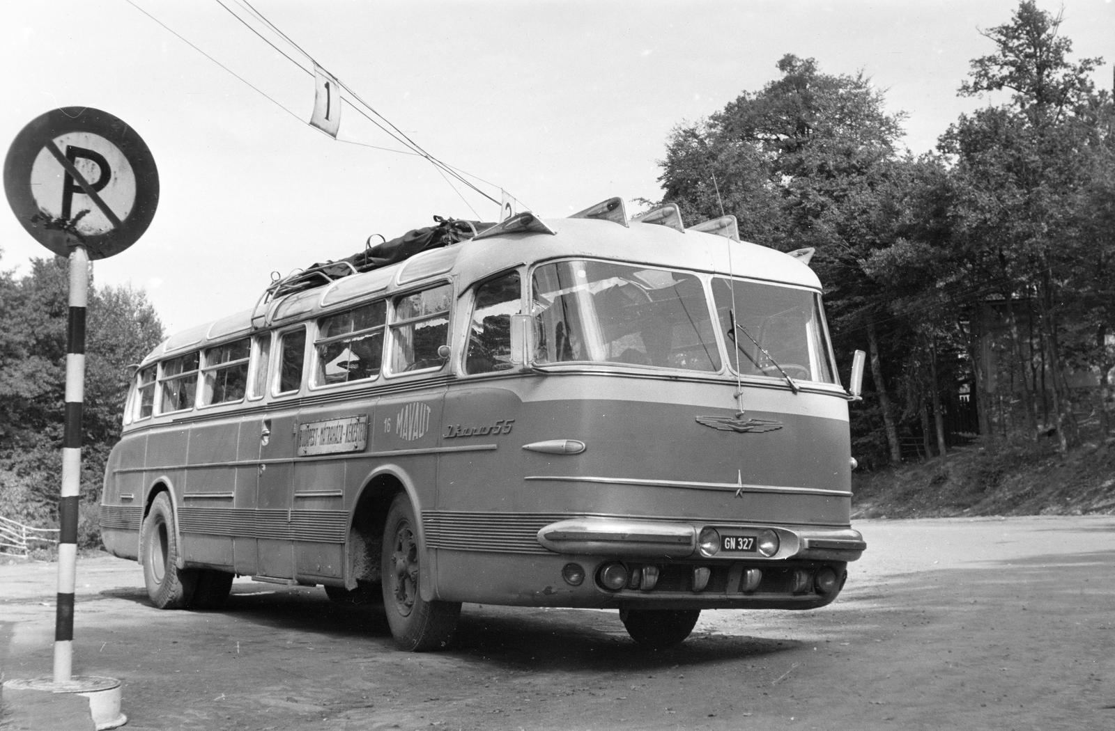 1960, Szalontai Tamás, rendszám, Ikarus 55, autóbusz, viszonylattábla, Fortepan #301968