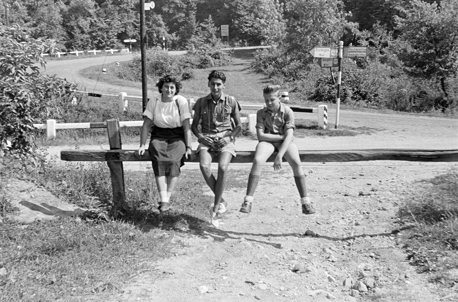 Magyarország, Pilis hegység, Két-bükkfa-nyereg, a felvétel a Pilisszentlélek határában lévő útelágazásnál készült., 1960, Szalontai Tamás, útjelző tábla, korlát, hárman, Fortepan #301975