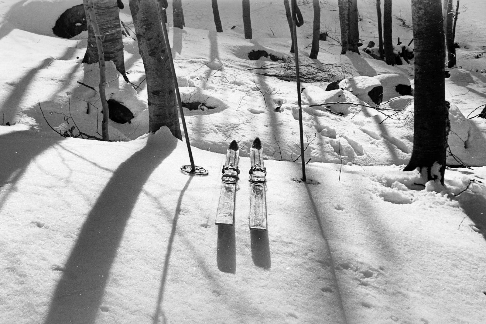 1960, Szalontai Tamás, Best of, snow, skis, skiing, Fortepan #301976