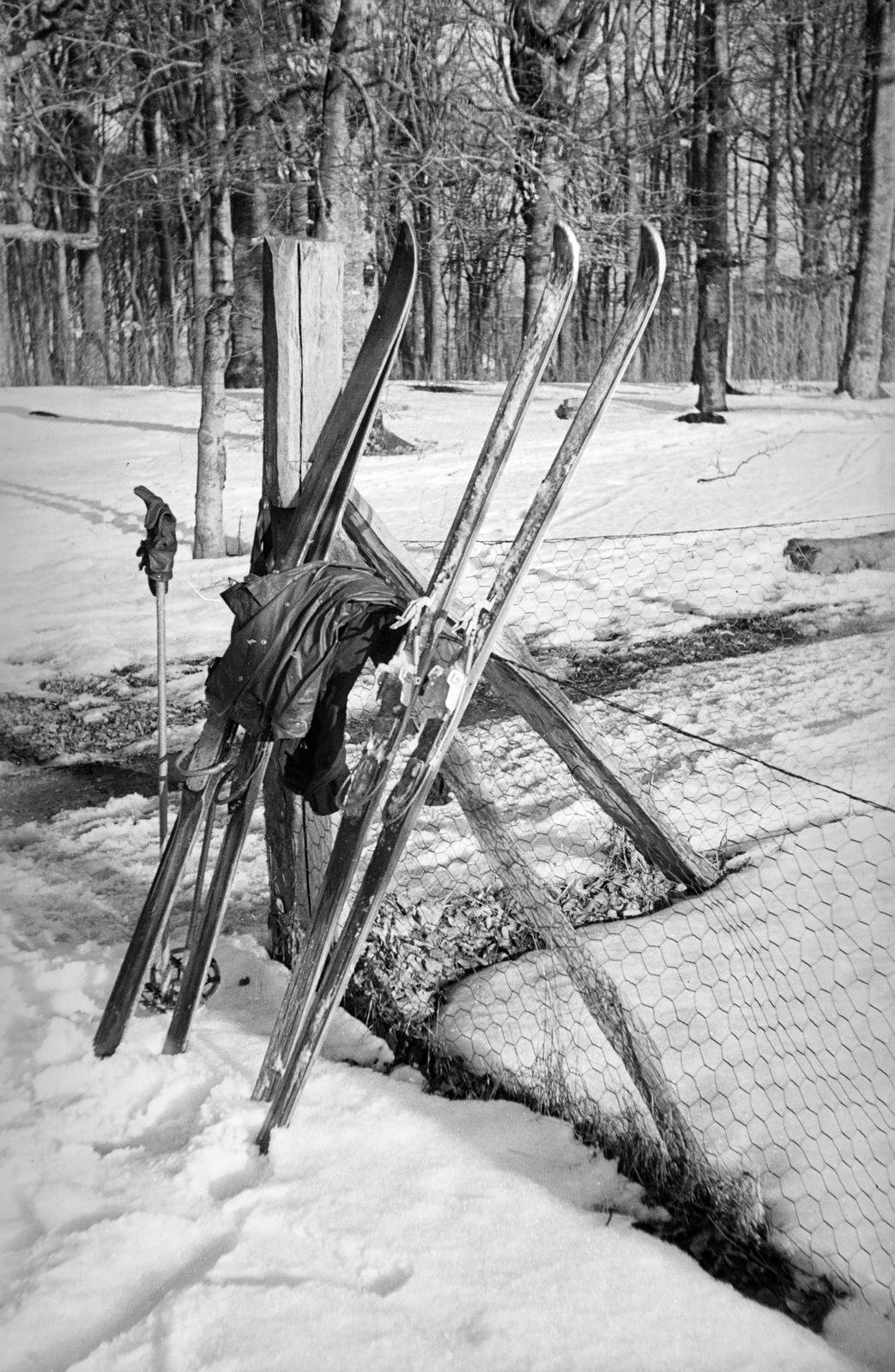 1960, Szalontai Tamás, síléc, Fortepan #301977