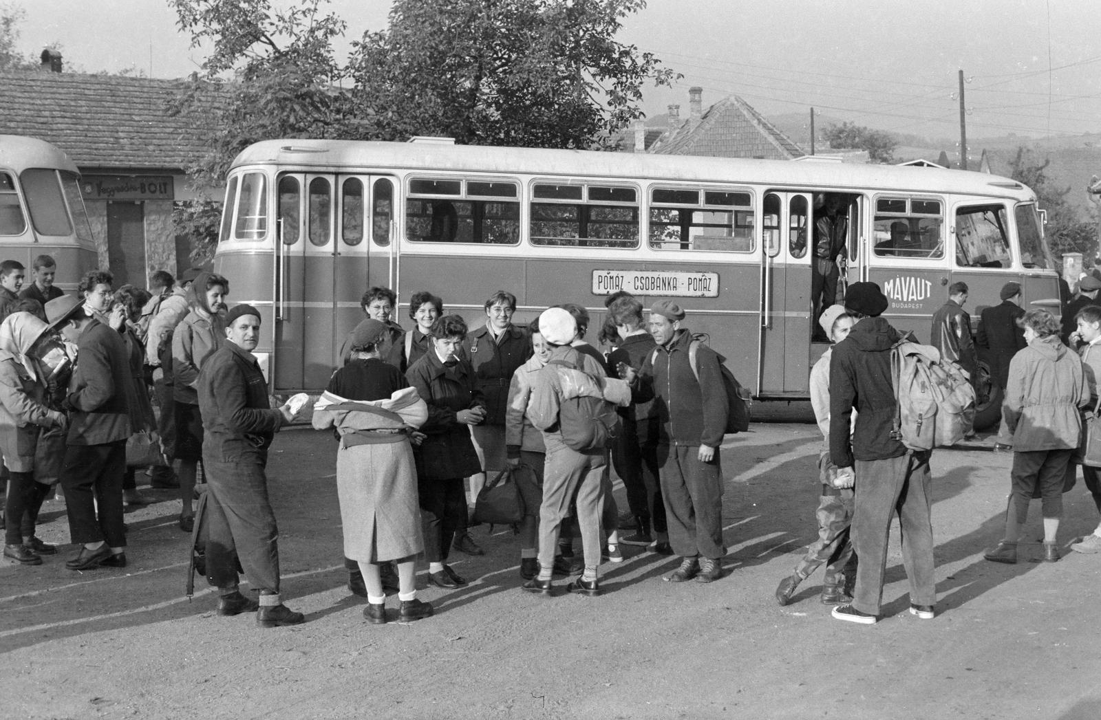 1960, Szalontai Tamás, Ikarus 620, MÁVAUT-organisation, destination sign, Fortepan #301979