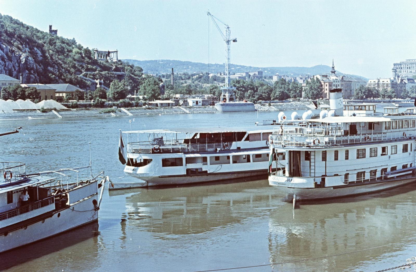 1963, Szalontai Tamás, daru, sétahajó, színes, Fortepan #302034