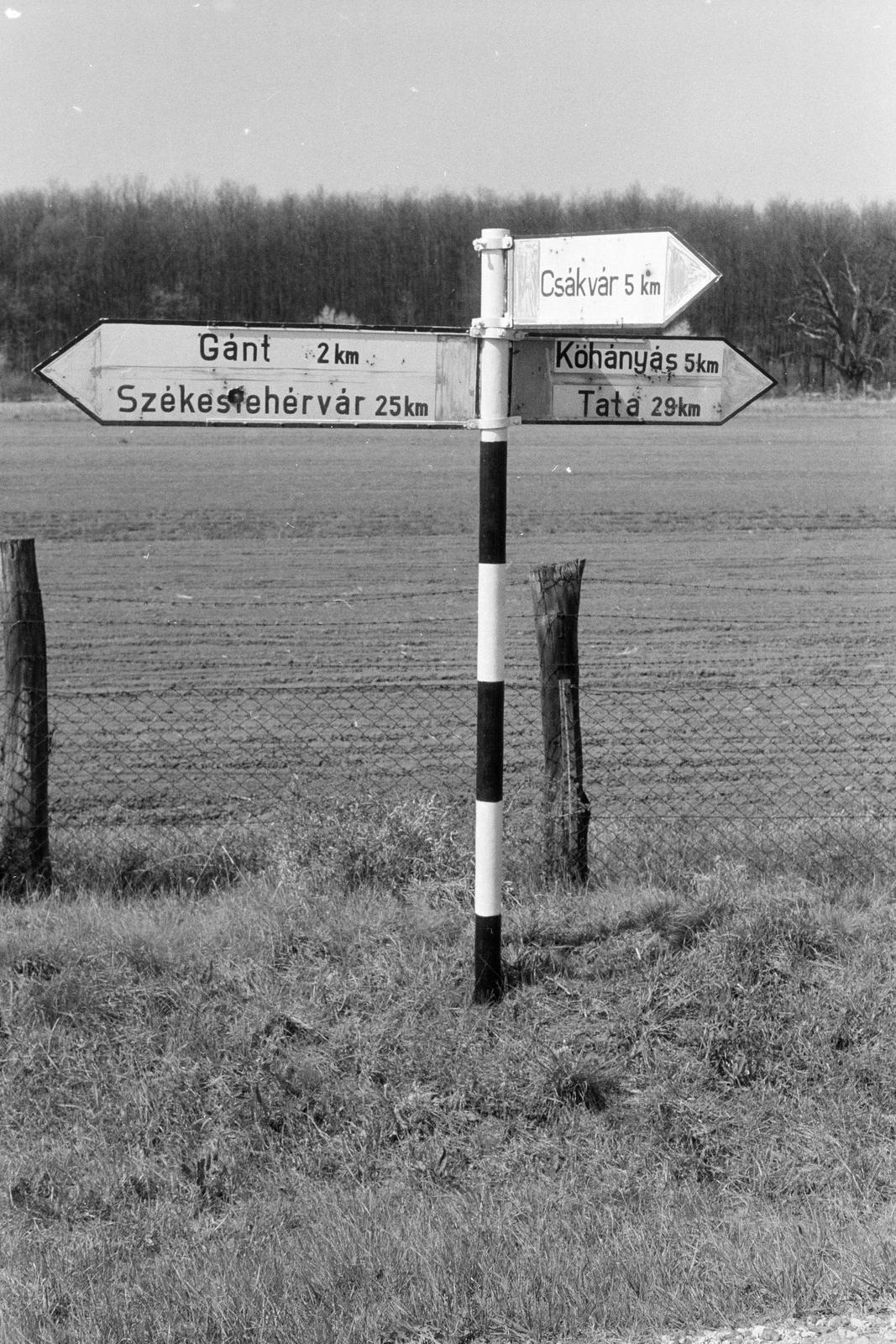 Magyarország, Gánt, útelágazás a település határában., 1963, Szalontai Tamás, útjelző tábla, Fortepan #302041