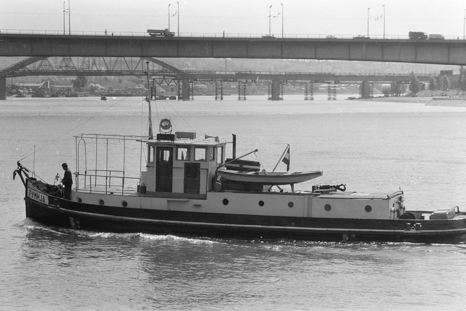 1965, Szalontai Tamás, ship, Fortepan #302045