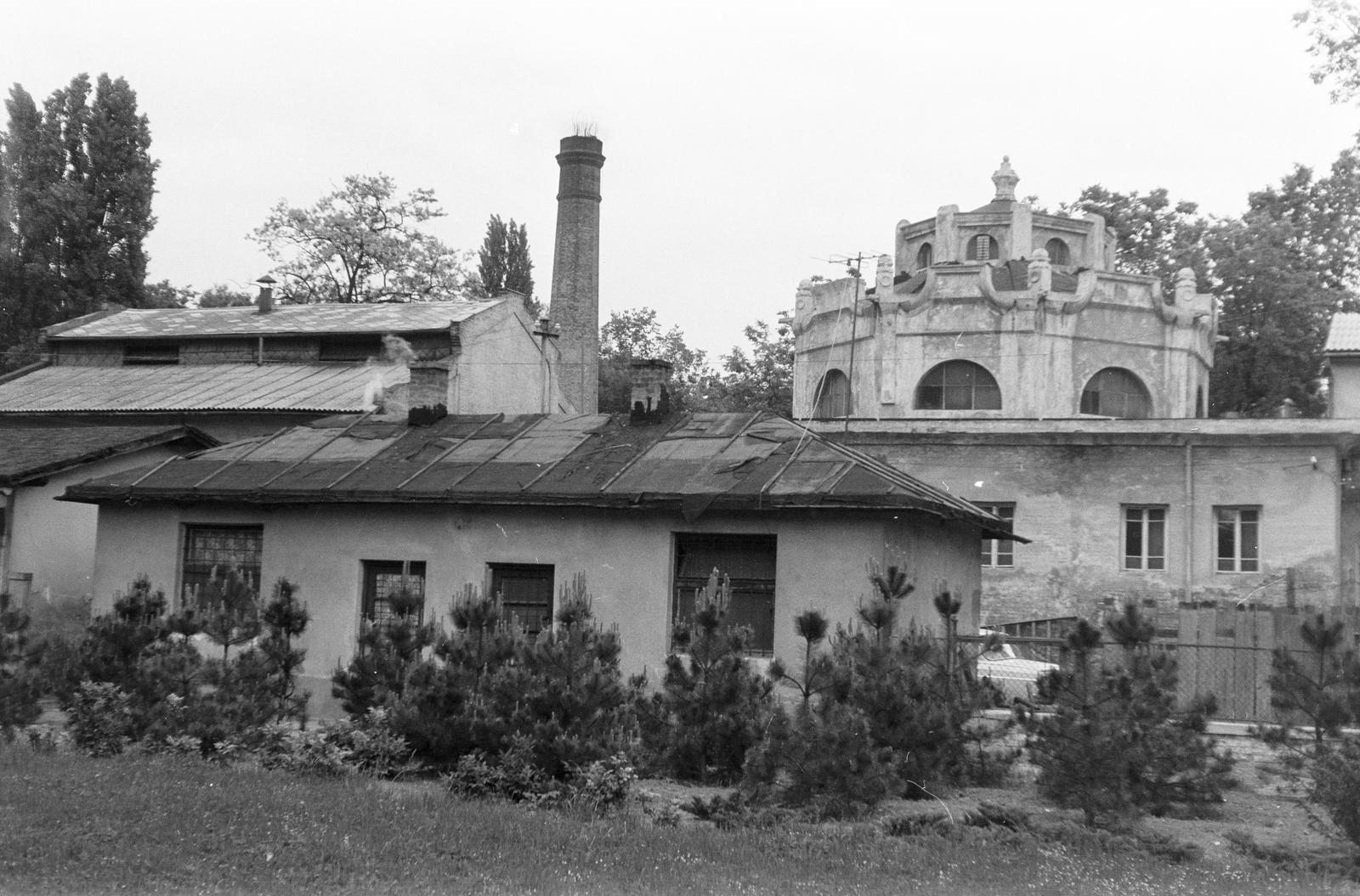 1965, Szalontai Tamás, chimney, building, architectural ornament, Fortepan #302067