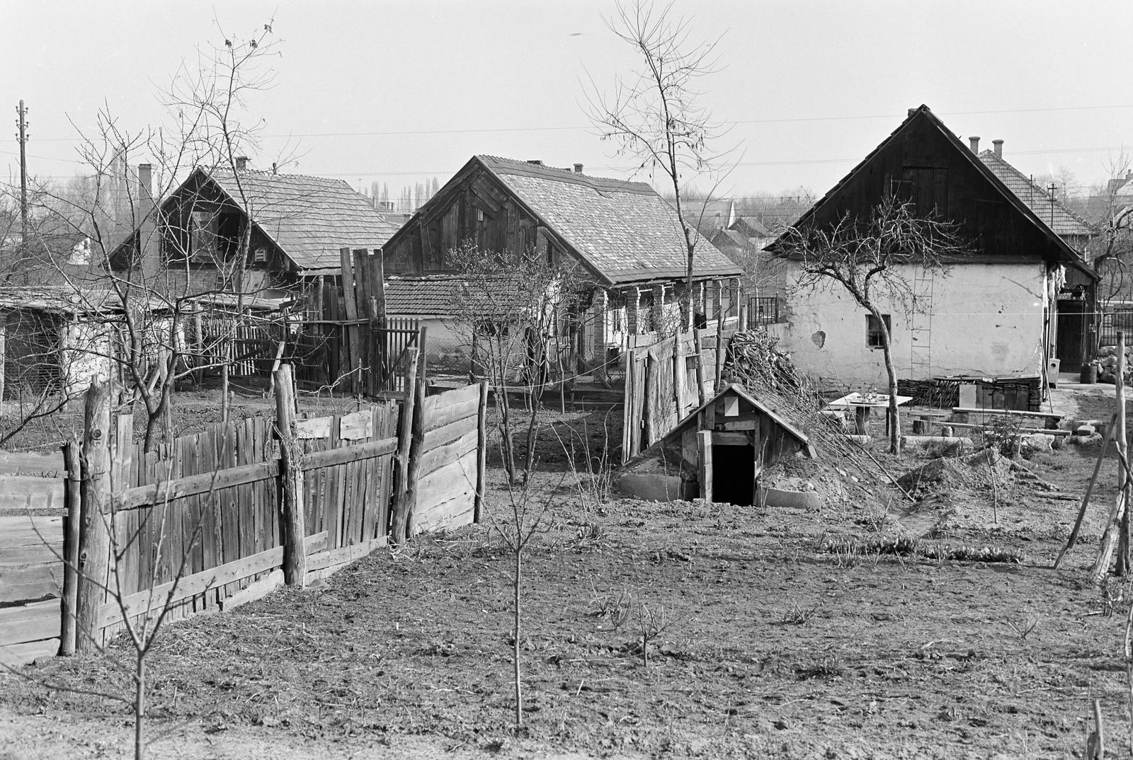 1970, Szalontai Tamás, yard, fence, board, cellar, vernacular architecture, Fortepan #302077
