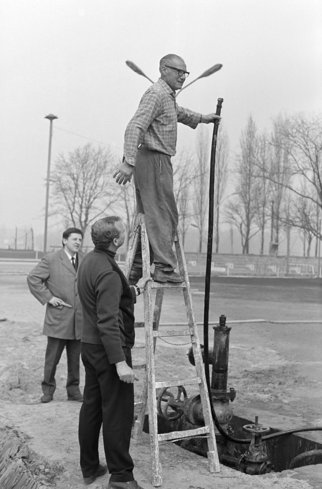 1969, Szalontai Tamás, létra, Fortepan #302078