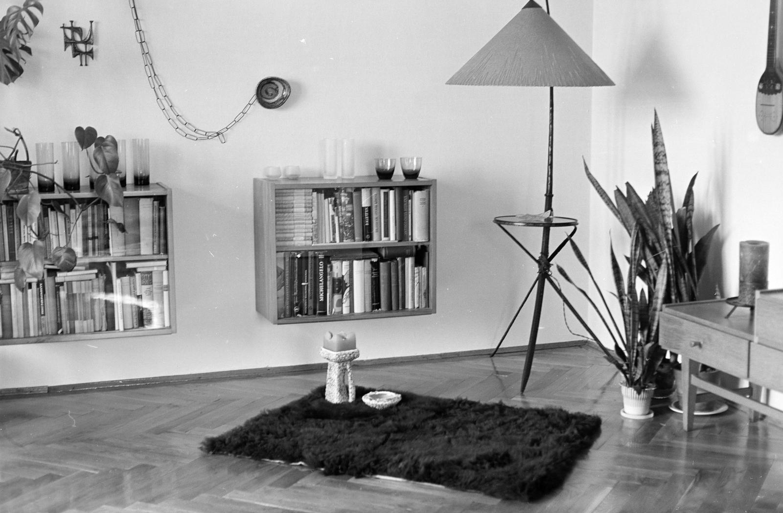 1970, Szalontai Tamás, Best of, könyvespolc, enteriőr, szobanövény, parketta, modern design, Fortepan #302089