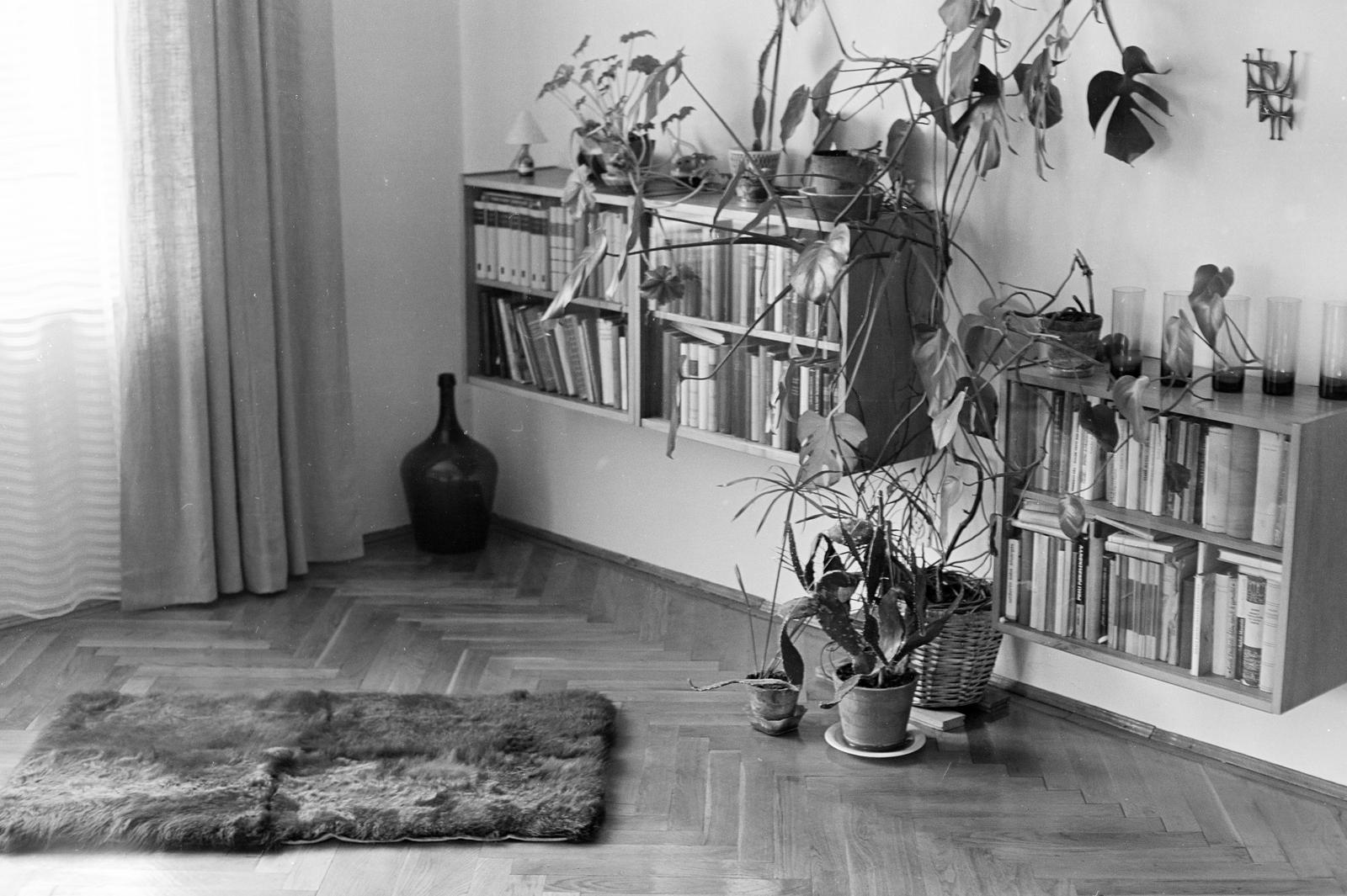 1970, Szalontai Tamás, bookshelf, demijohn, interior, Fortepan #302090