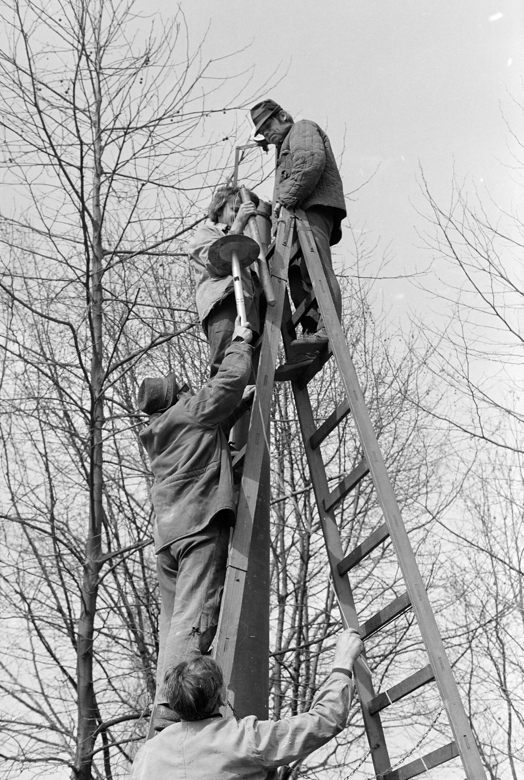 1972, Szalontai Tamás, szerelés, létra, Fortepan #302111