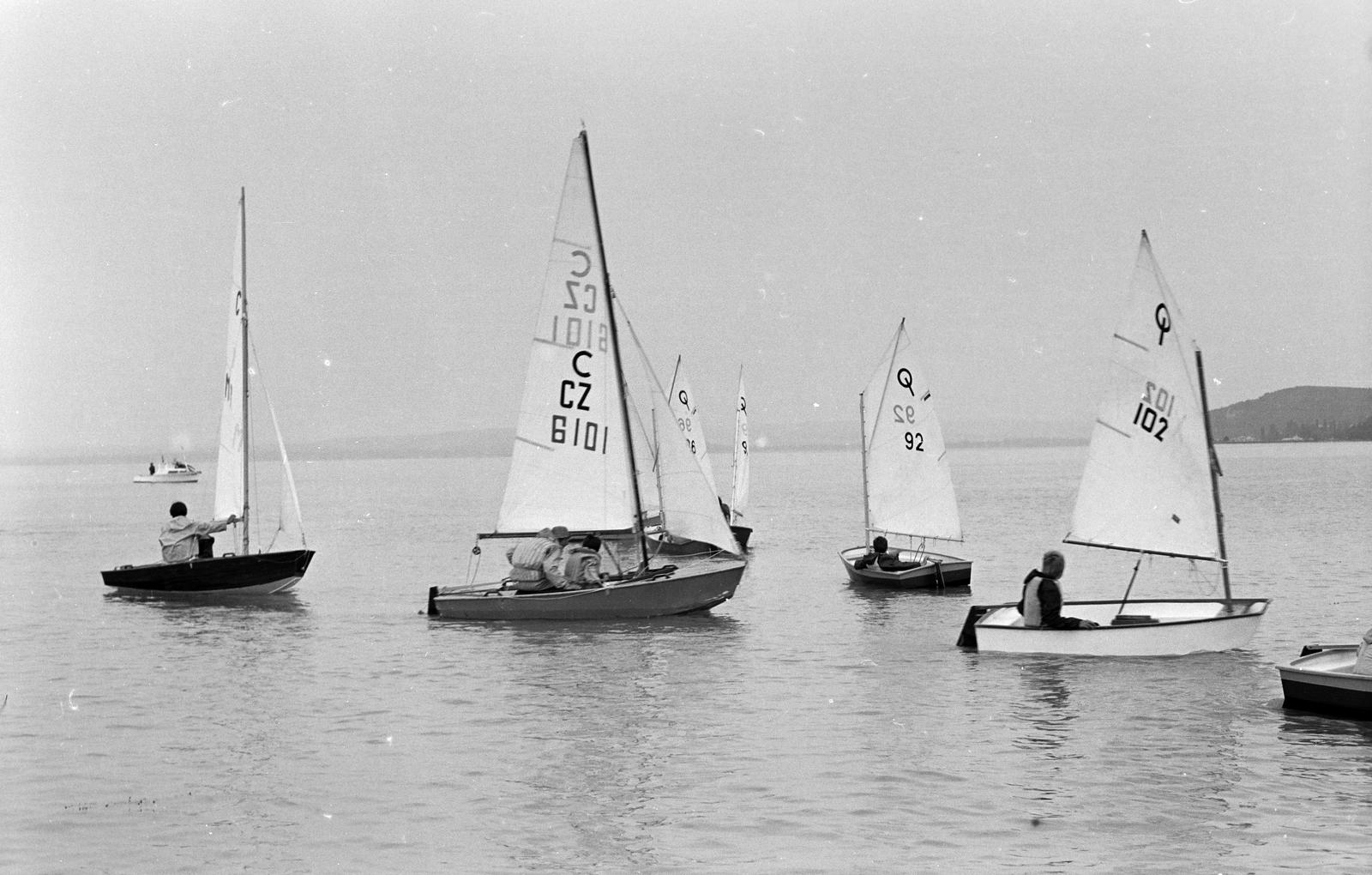 1982, Szalontai Tamás, sailboat, Fortepan #302131