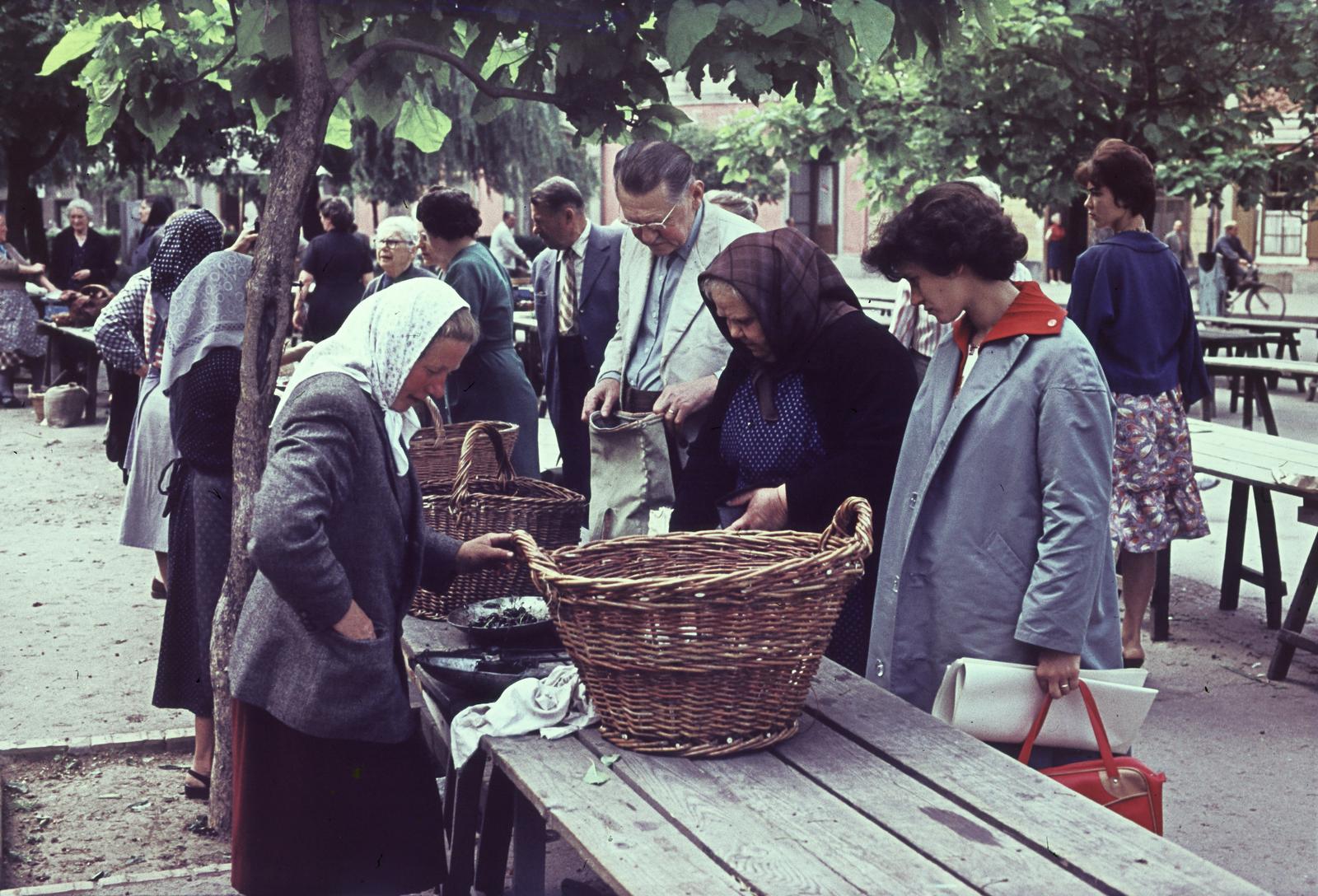 Magyarország, Sopron, Kisvárkerület, piac., 1960, Szalontai Tamás, vesszőkosár, piac, árus, színes, Fortepan #302148