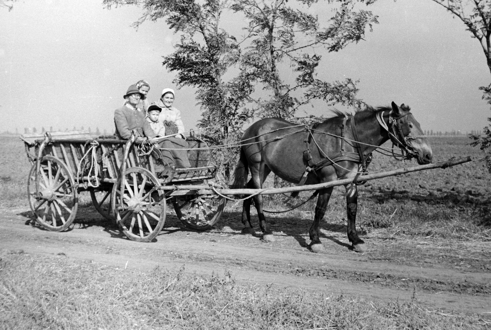 1957, Németh Tamás, chariot, tableau, women, coach, man, teamster, kid, Fortepan #30218