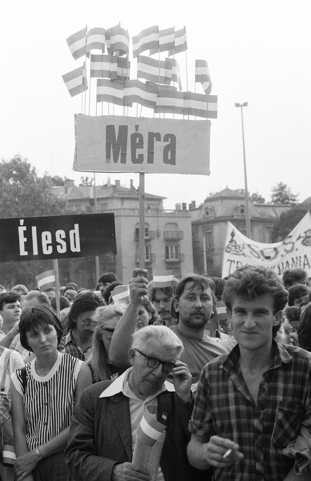 Magyarország, Budapest XIV., Hősök tere, az erdélyi falurombolás elleni tüntetés 1988. június 27-én., 1988, Szebeni András, Budapest, Fortepan #302368