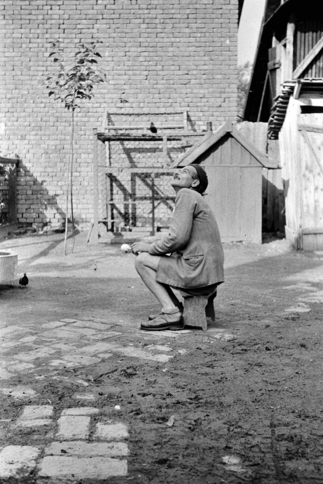 1957, Németh Tamás, yard, man, footstool, pen, Fortepan #30238